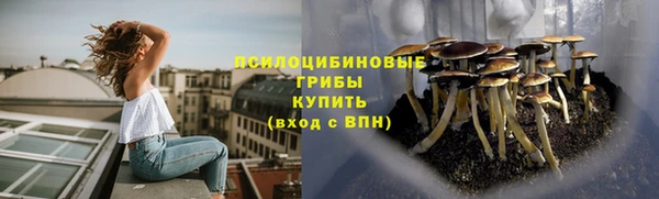 гидропоника Абдулино
