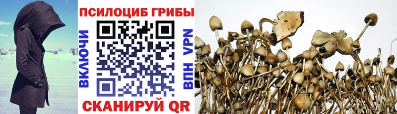 Псилоцибиновые грибы Cubensis  МЕГА как войти  Серафимович 